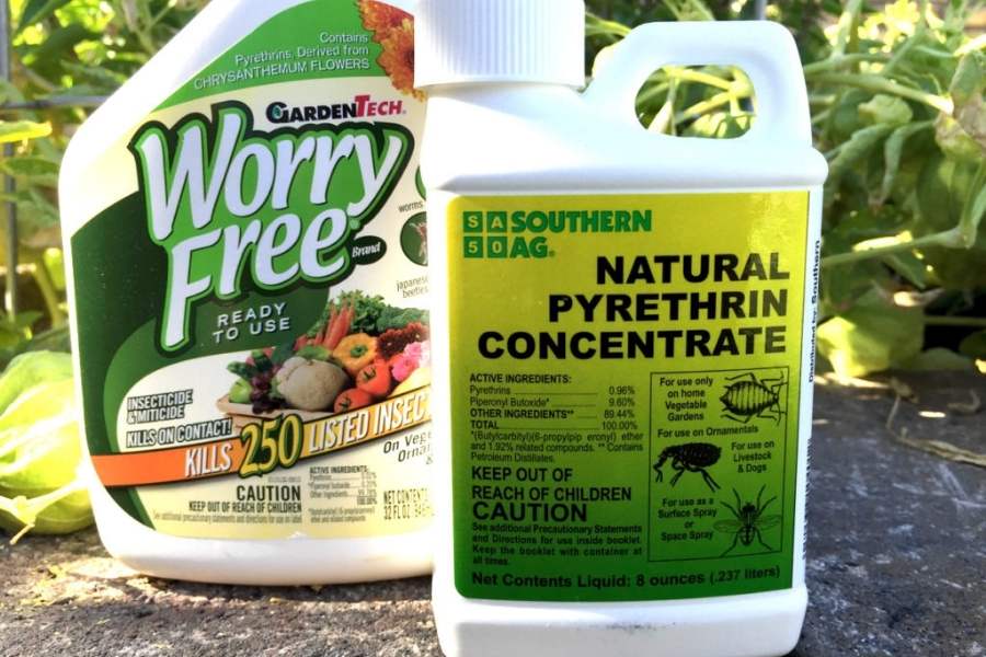 Do dryer sheets keep bed bugs away - Pyrethrin-based products