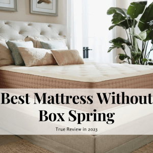 Top 10 Best Mattress Without Box Spring In 2023 - Elkie & Ark