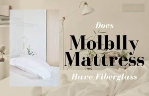 Does Molblly Mattress Have Fiberglass? Secret Revealed