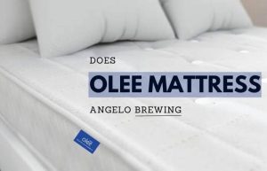 Does Olee Mattress Have Fiberglass? The Ways To Solve It