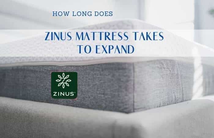 How Long Does A Zinus Mattress Take To Expand?