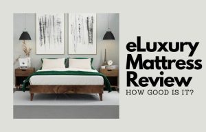 eluxury-mattress-review