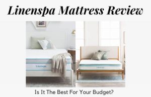 Linenspa Mattress Review: Is It The Best For Your Budget?