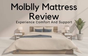 Molblly Mattress Review: Experience Comfort And Support