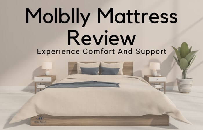 Molblly Mattress Review: Experience Comfort And Support