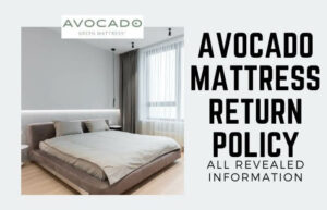 Avocado Mattress Return Policy: All Revealed Information