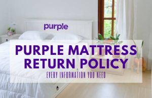 Purple Mattress Return Policy: Every Information You Need
